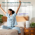 Compact air purifier designed for bedroom tables and small spaces