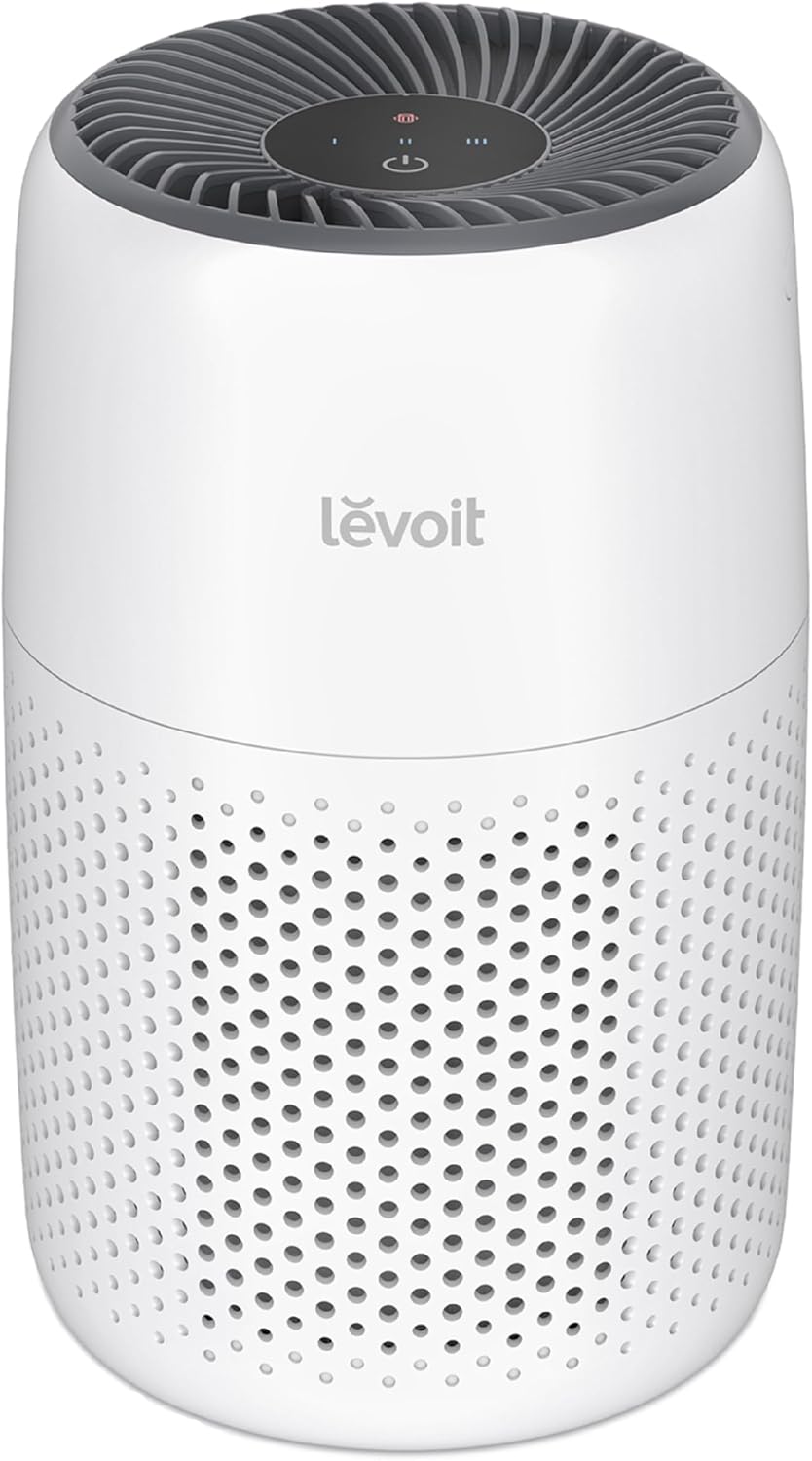 Small Air Purifier for Office Desk