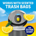 Trash can freshener starter kit showing two holders and two refills
